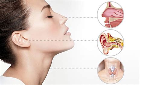 Image result for String ENT