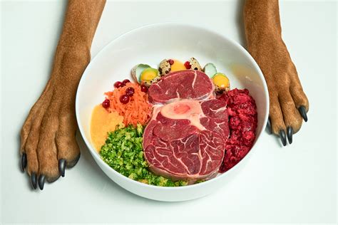 Is Raw Dog Food Better Than Cooked? We Break Down The Pros And Cons