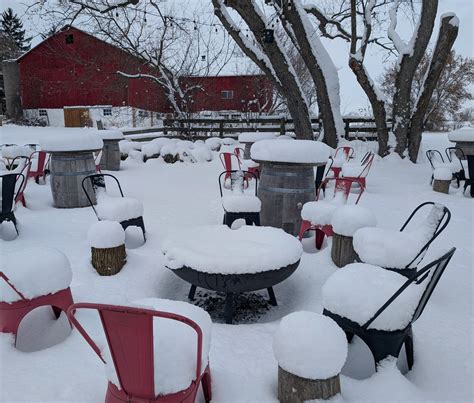 Image result for Modjo Cider