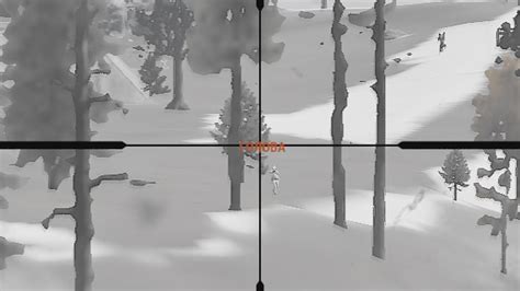 Rust Highlights 的图像结果