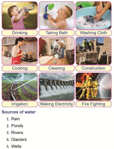 Grade 1 Science Lessons 的图像结果