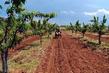 Armani announces Apulia Regenerative Cotton Project