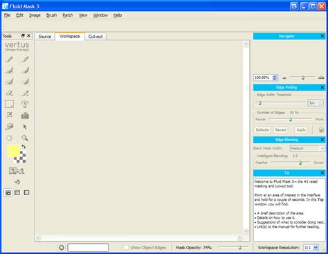 Image result for Vertus Fluid Mask Tutorial