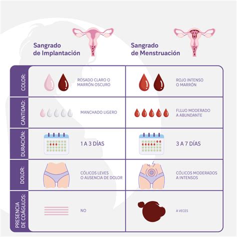 Sangrado de Implantación: Síntomas, Duración y Cómo Diferenciarlo de la Menstruación