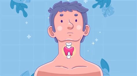 The Thyroid Gland: Understanding, Symptoms, and Treatment