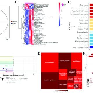 Image result for PIM2 Score