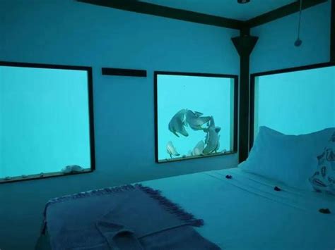 水下建筑 的图像结果