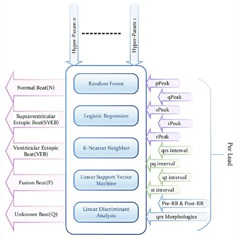 Image result for Detailed Classification Key