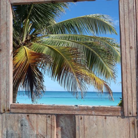 ASTRAL TULUM - Specialty Inn Reviews, Photos, Rate Comparison - Tripadvisor