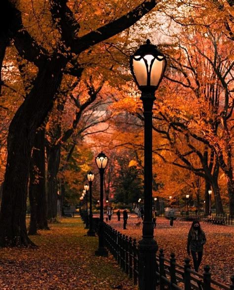 NYC Autumn Wallpapers - 4k, HD Backgrounds on WallpaperBat