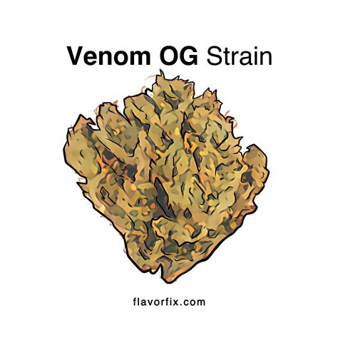 Venom OG Strain | Cannabis Strains Information | Flavor Fix
