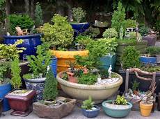 Indoor Garden Containers by Indoor And Outdoor Container Ideas For Miniature Gardening Indoor Garden Containers