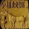 give the image of Harappan script through and what is it called ...