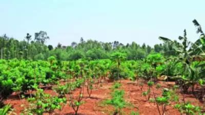 Uttarakhand Land Law: Uttarakhand to ban outsiders from buying agri ...