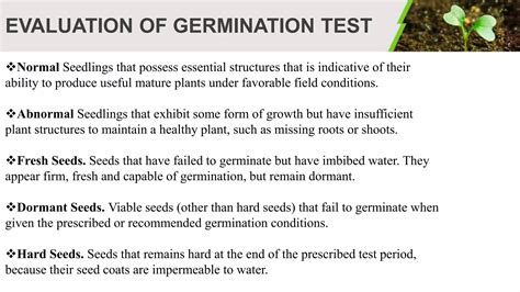 Testing for seed germination | PPTX