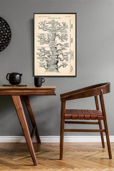 Men Evolution Chart 的图像结果