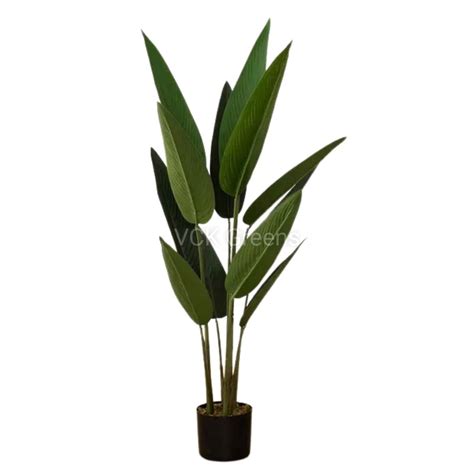 Artificial Bird of Paradise Plant With Pot 3.8ft – VCK Greens