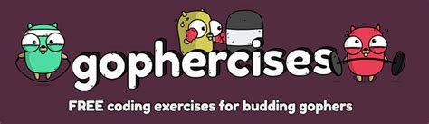 Image result for Freecodecamp Learn Golang