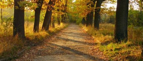 Botanical Garden, almaty, Kazakhstan - Top Attractions, Things to Do ...