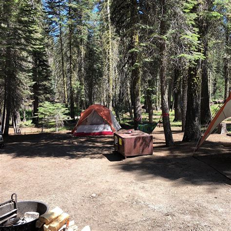 TAMARACK FLAT CAMPGROUND (PARQUE NACIONAL DE YOSEMITE, CALIFÓRNIA): 21 ...