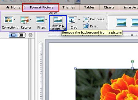 Powerpoint Tips: How to Use the 