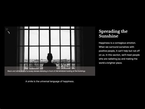 Elementor Gallery Slider 的图像结果