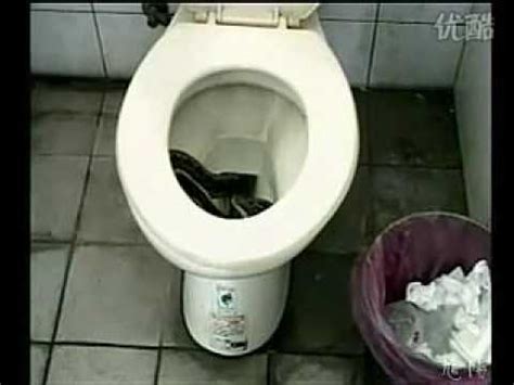男子上厕所被蛇咬 标清 - YouTube