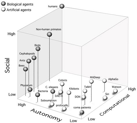 The Morphospace of Consciousness: Three Kinds of Complexity for Minds ...