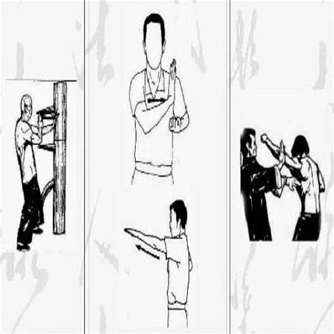 Image result for Tutorial Wing Chun