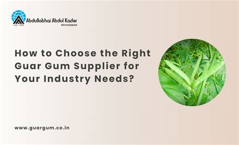 Finding the Best Guar Gum Supplier in India