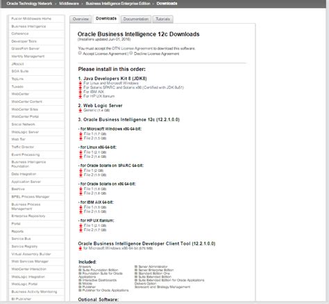 OBIEE 12C Tutorial 的图像结果