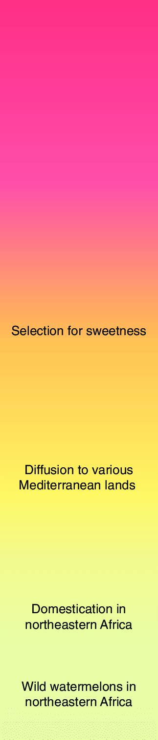 Chronological Pattern 的图像结果