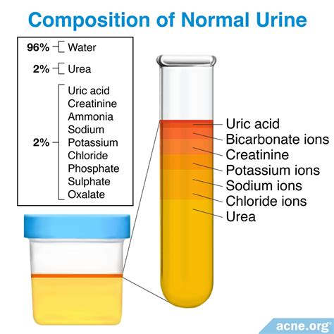 Urine Therapy for Acne - Acne.org