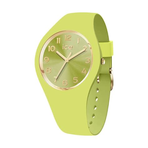 HIBASIC｜ICE-WATCH