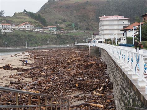 La riada deja árboles de hasta 30m en la playa de Ribadesella | Cope ...