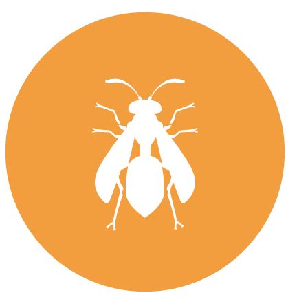 Pesterminator|Pest Control|Cleaning Services