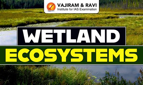 Wetland Ecosystems, Types, Significance, Threats, Importance