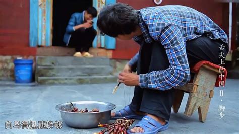 西藏男孩为了供弟弟上学，每天上山采灵芝，穷人孩子早当家！,旅游,民俗,好看视频