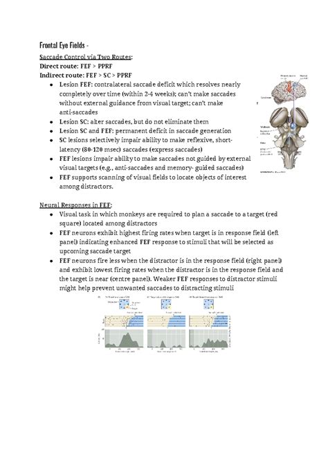 Frontal Eye Fields - n/a - Frontal Eye Fields - Saccade Control via Two ...