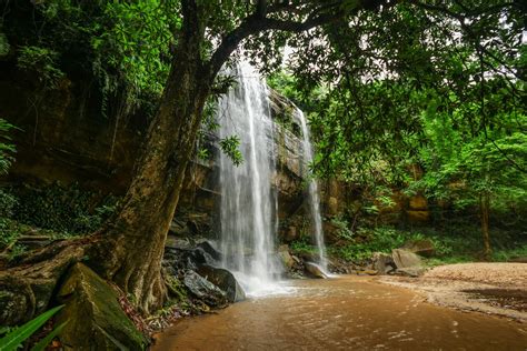 https://files.africa.pl/2025/09/waterfall-in-shimba-hills-national-reserve-kenya_shutterstock_1910240089-1.jpg