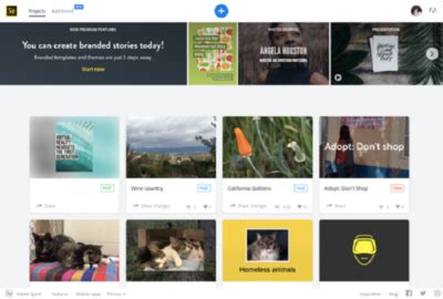 Adobe Spark Tutorial for Beginners 的图像结果