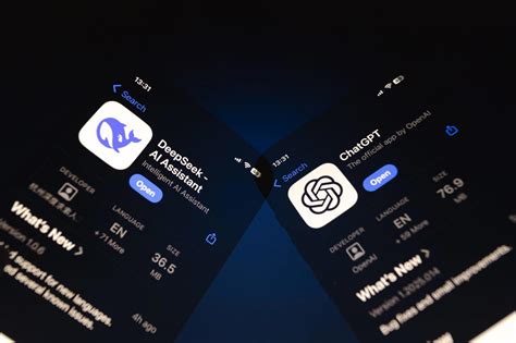 Openai Deepseek 的图像结果