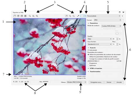 CorelDRAW Aide | Exportation d’images bitmap pour le Web