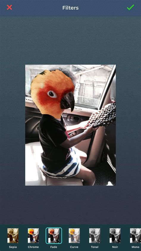 Image result for How to Paste Over Filter