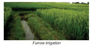 What are the methods of irrigation in India? - Brainly.in