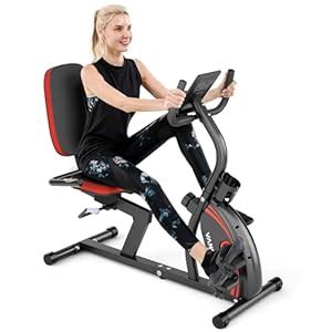 VANSWE Recumbent Exercise Bike, Recumbent Stationary Bikes for Home 400 ...