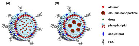 When Albumin Meets Liposomes: A Feasible Drug Carrier for Biomedical ...