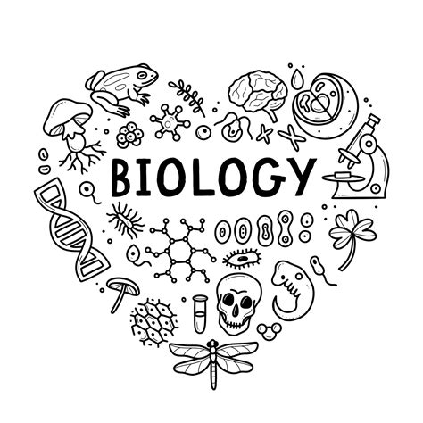Biology Cute Pictures 的图像结果