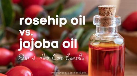Rosehip Oil vs Jojoba Oil: Find Your Skin's Perfect Match