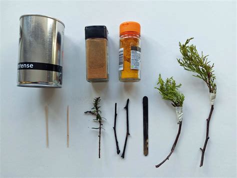 Image result for Drawing Methods